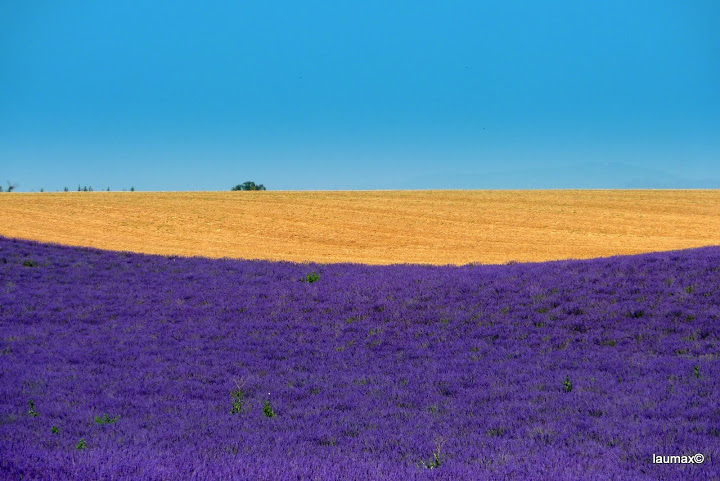 Provence - France