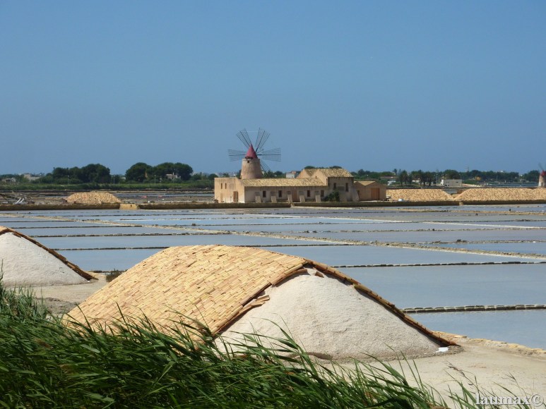 Riserva dello Stagnone - Saline