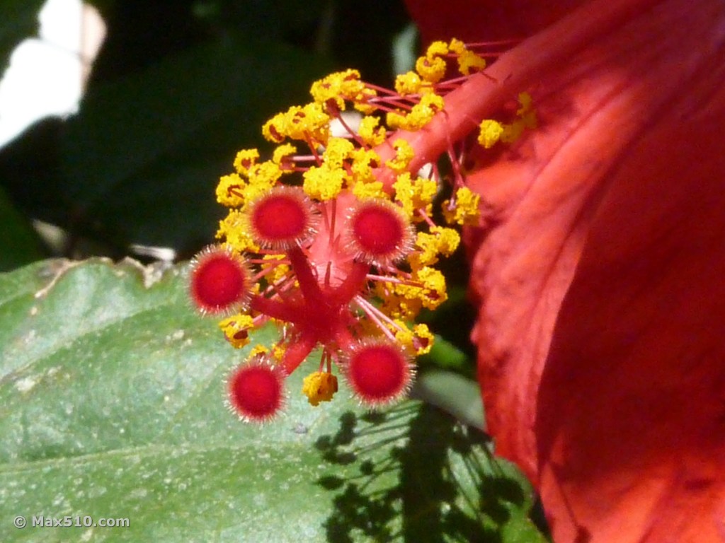 P1070321