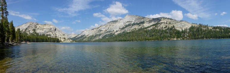 Yosemite NP - Tioga Lake