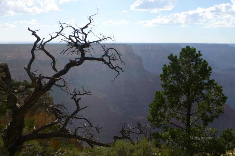 Grand Canyon - AZ - USA