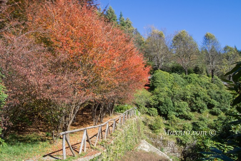 Oasi Zegna - Conca dei Rododendri