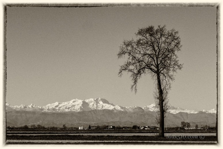 Italia - Novara - Campagna