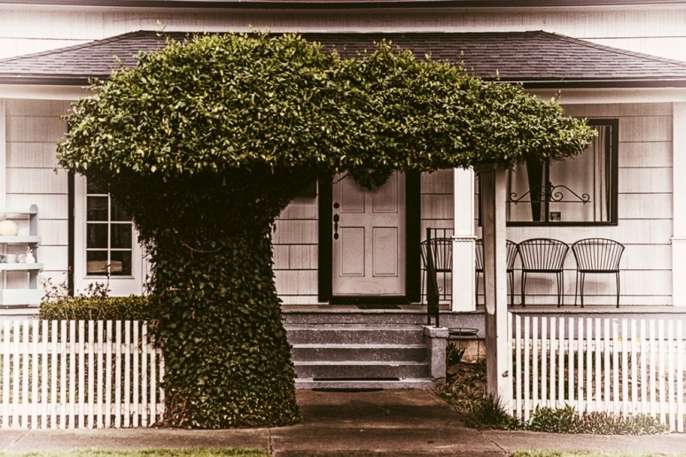 Max510 One Photo Focus April