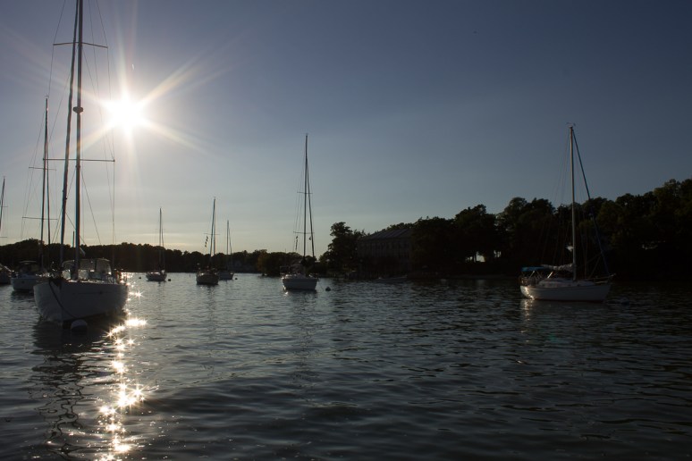 Michelle Lunato October One Photo Focus-2