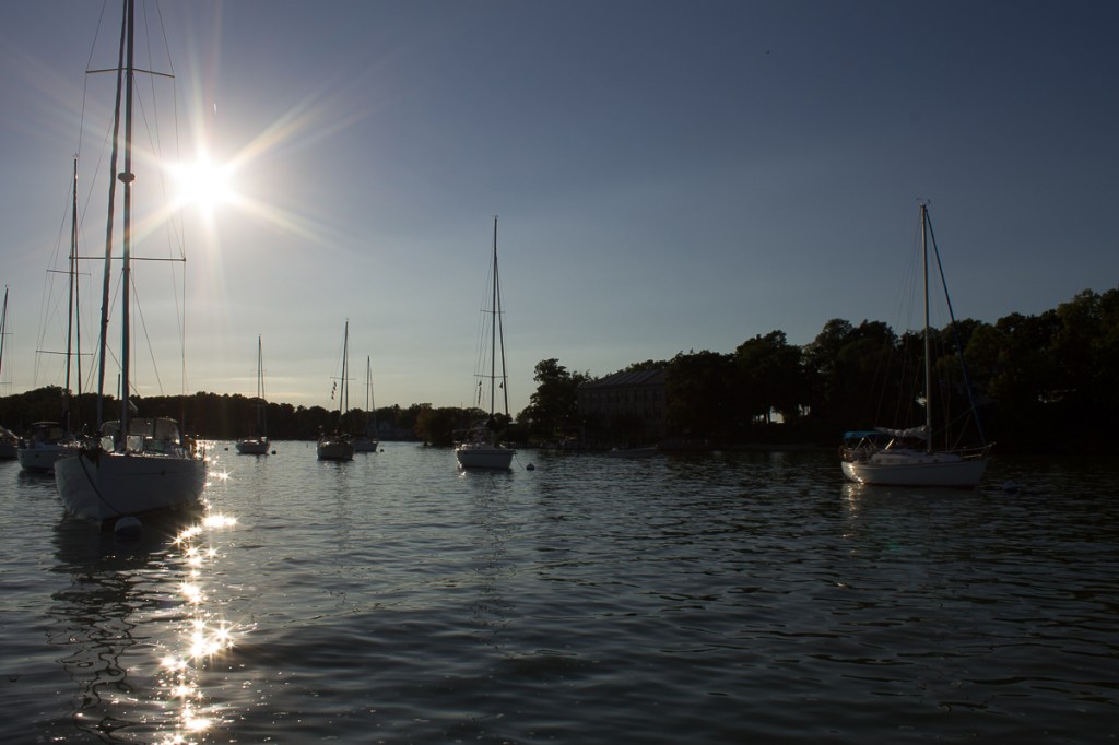 Michelle Lunato October One Photo Focus-2