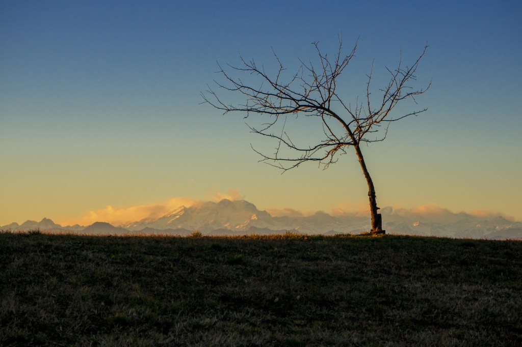 Il Bacio El Beso The Kiss Pablo Neruda